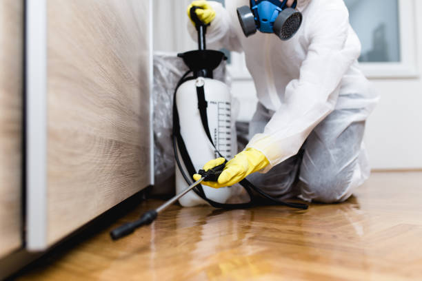 Best Rat Extermination Near Me  in East Harwich, MA