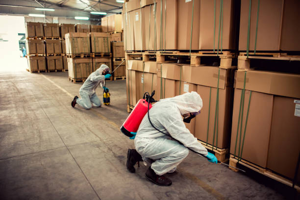 Pest Prevention Services in East Harwich, MA