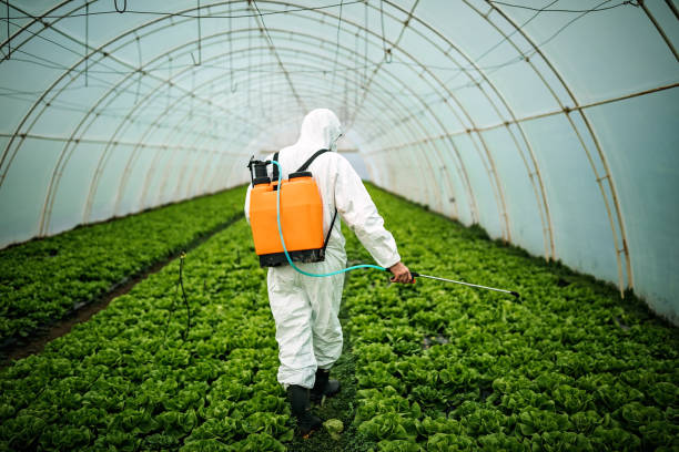 Best Affordable Pest Control Services  in East Harwich, MA