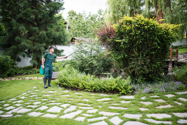 Best Local Pest Control Services  in East Harwich, MA