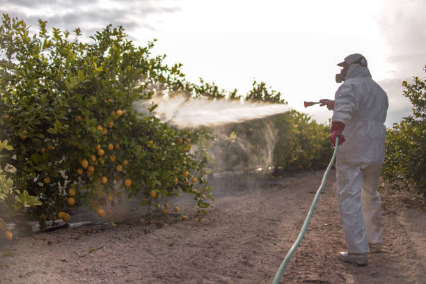  East Harwich, MA Pest Control Pros