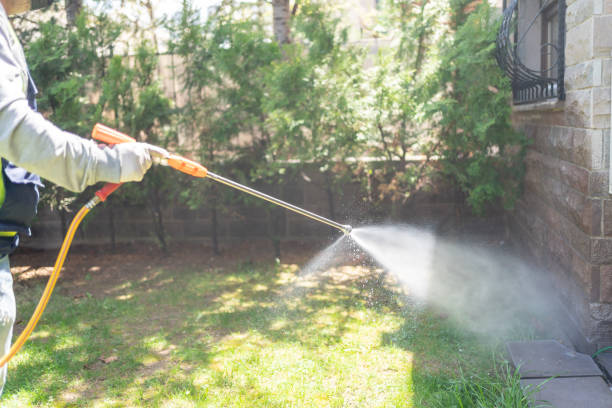 Trusted East Harwich, MA Pest Control Experts