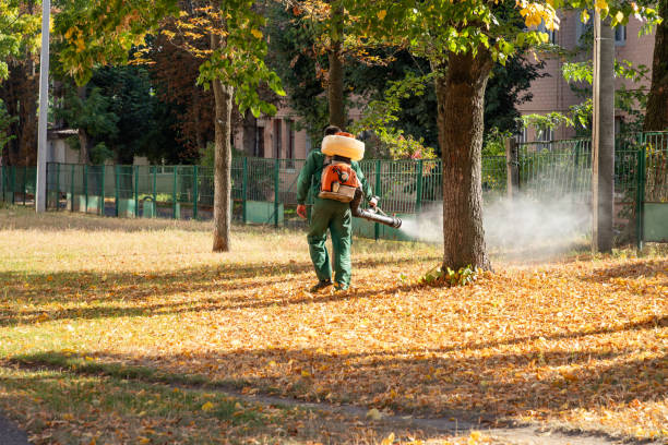 Best Flea Control Services  in East Harwich, MA